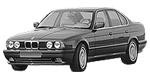 BMW E34 P1889 Fault Code